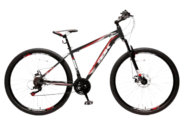 SBK MTB R29 Gris